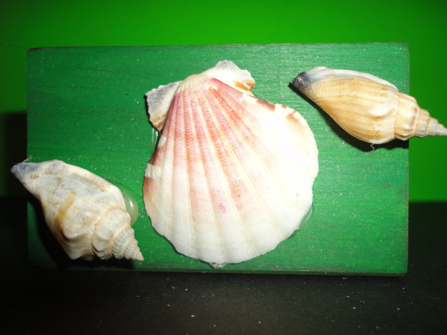 My Shells & Pearls Trinket Boxes